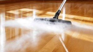 Steam Mop